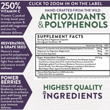 Load image into Gallery viewer, Protect+ Immune Defense and Wellness (60 Capsules)