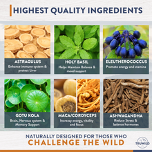 Load image into Gallery viewer, Adaptogens - Stress Relief & Mood Support (60 Capsules)