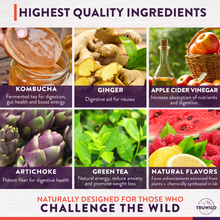 Load image into Gallery viewer, Kombucha Powder - Gut Health