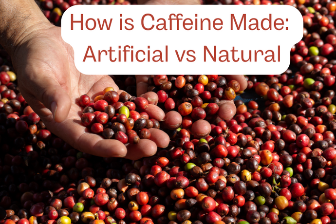 How is Caffeine Made: Artificial vs Natural