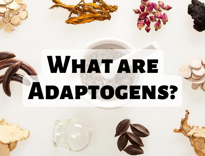 What are Adaptogens?