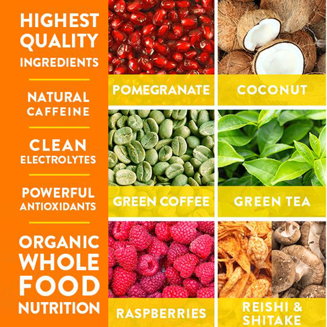 Motion Organic Plant Based Pre Workout Powder TRUWILD motion-organic-plant-based-pre-workout-powder-truwild