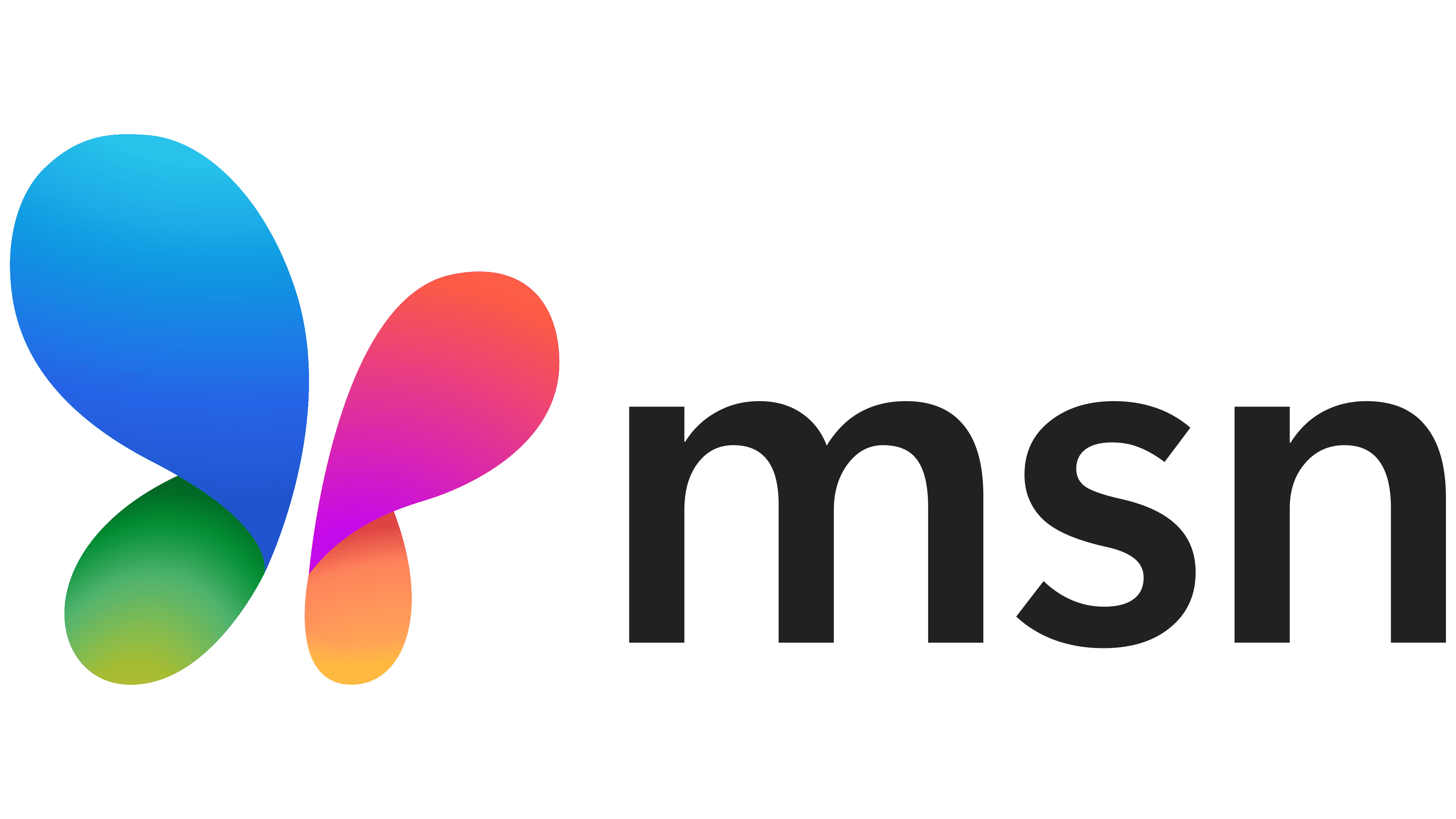 files-msn-logo-png