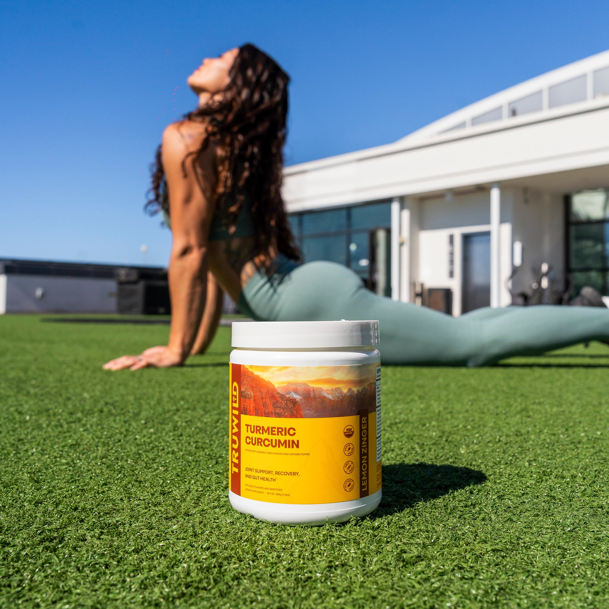 Turmeric Curcumin | Antioxidants for Gut Health | TRUWILD